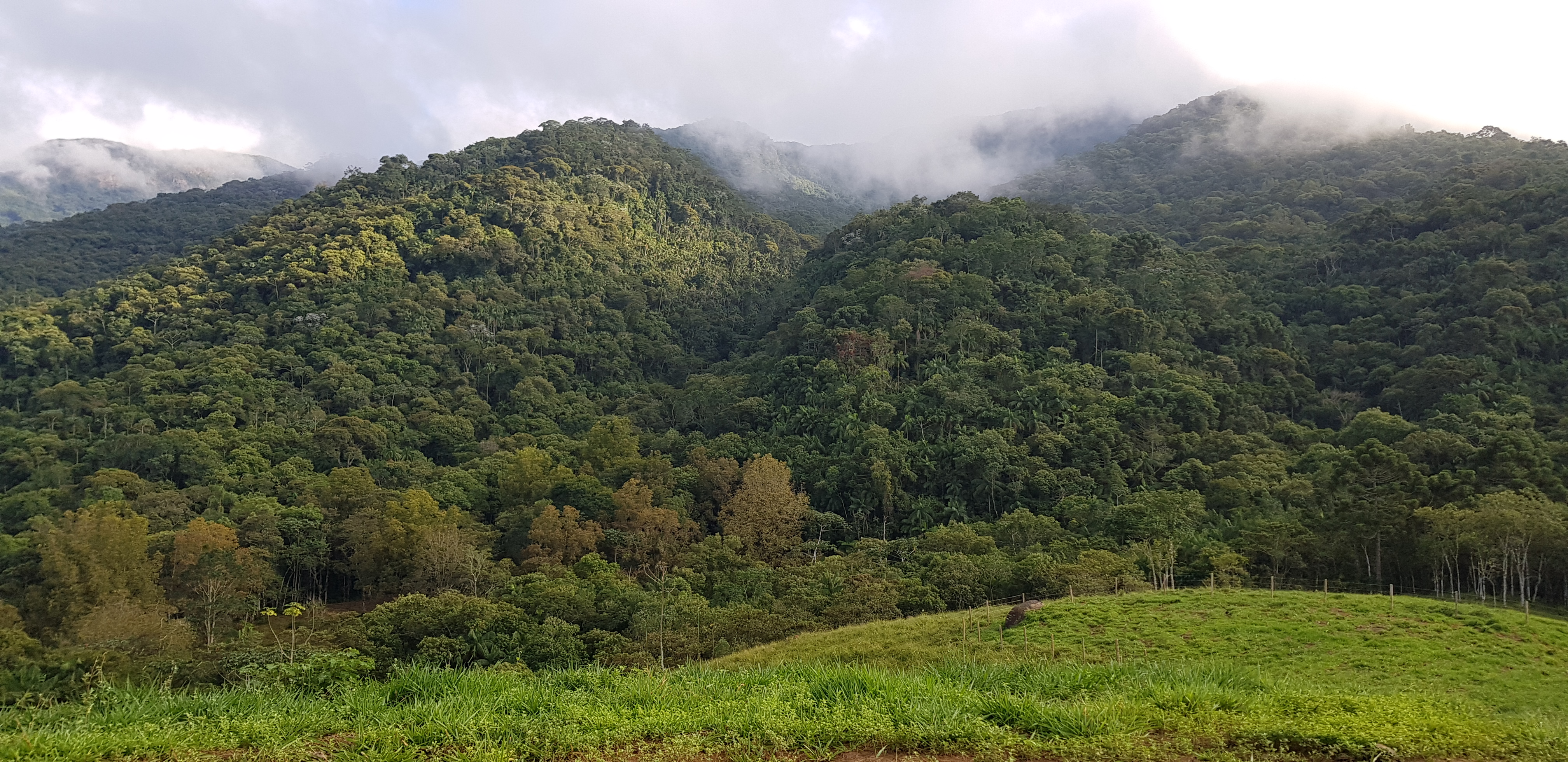A imagem mostra uma paisagem de montanha coberta por vegetação densa, com um céu parcialmente nublado. A vista é panorâmica, mostrando colinas verdes e uma área gramada em primeiro plano. A atmosfera é tranquila e natural, com neblina cobrindo parcialmente as montanhas ao fundo.
