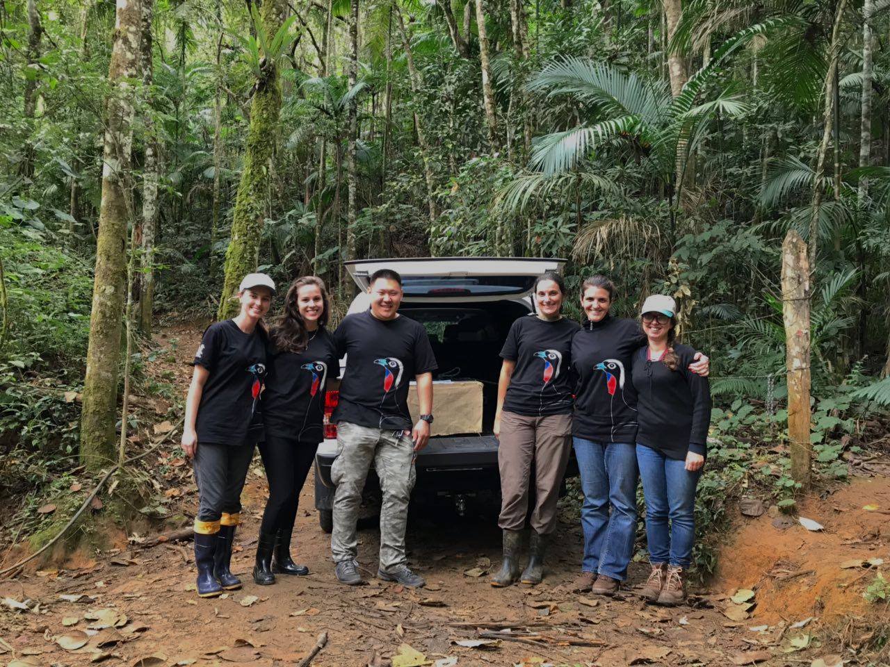 Três pessoas estão verificando uma jaula dentro de um veículo aberto. Eles estão usando bonés e uniformes, provavelmente participando de uma atividade de transporte ou soltura de animais. A atenção está voltada para a jaula, que parece conter algum tipo de ave.