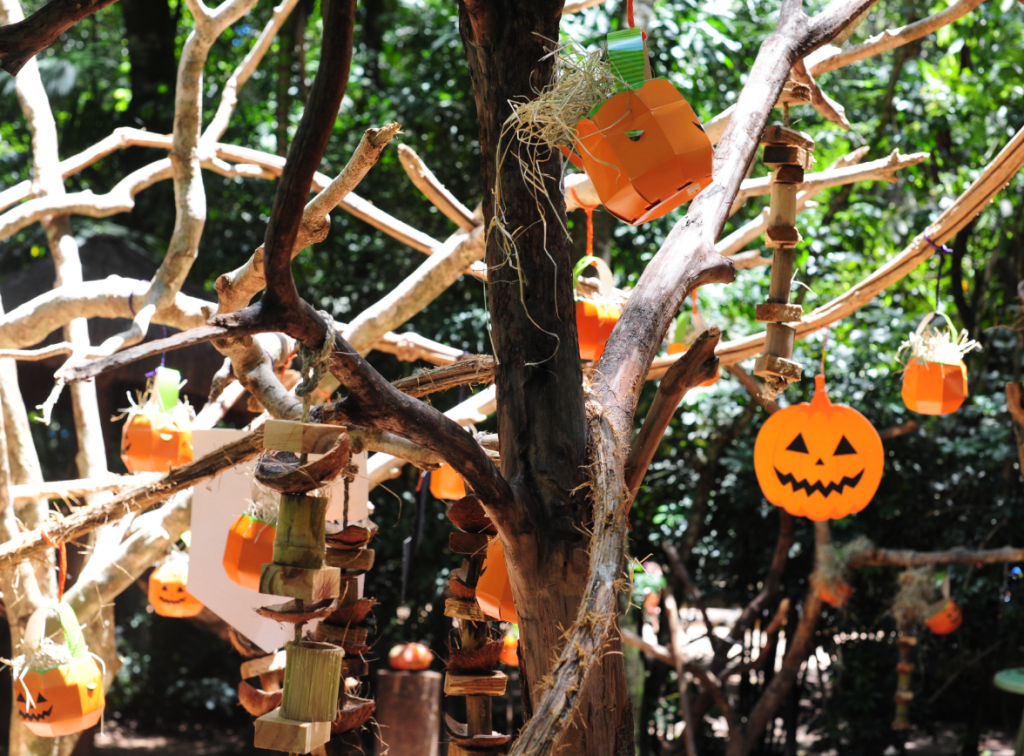 Galhos de árvore decorados com enfeites de Halloween, incluindo abóboras de papel em formato de lanternas de Jack O'Lantern, pendurados e espalhados por todo o ambiente.