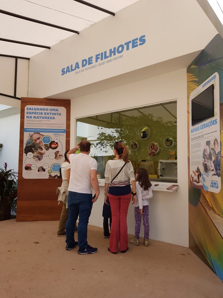 Visitantes observam a "Sala de Filhotes" em uma instalação dedicada à conservação de aves.
