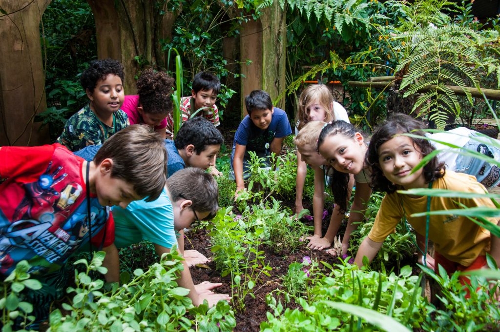 Um grupo de crianças está em um jardim no Parque das Aves, envolvido em atividades de plantio. Educação Ambiental