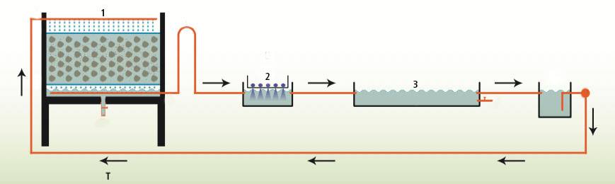 filtroesquema