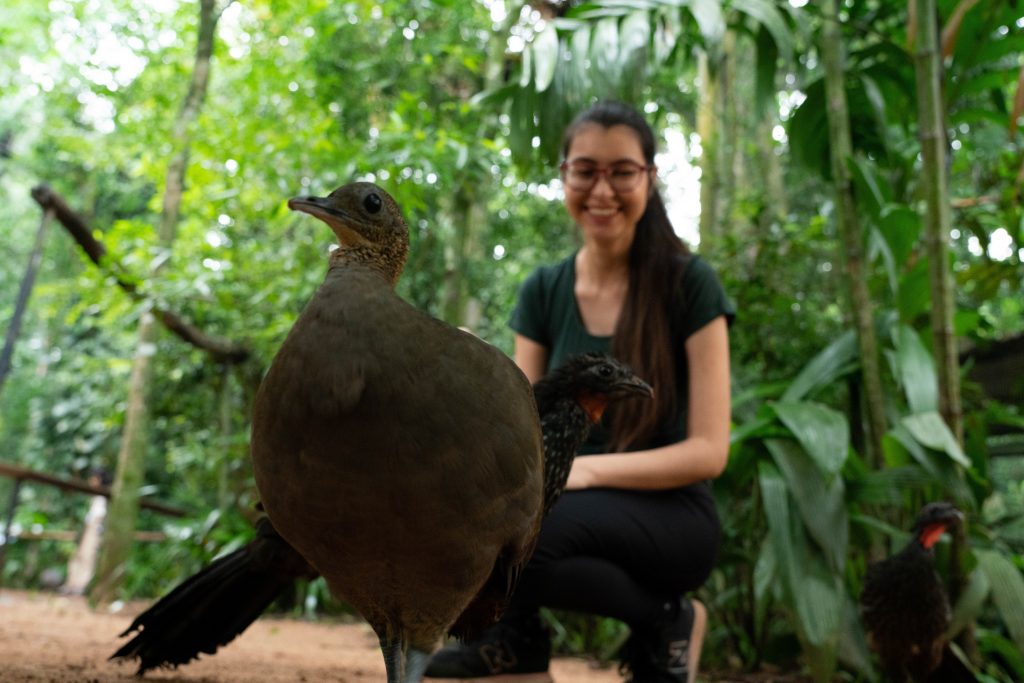 Mulher sorrindo ao fundo enquanto observa uma ave terrestre em destaque no primeiro plano, no ambiente natural do Parque das Aves.
