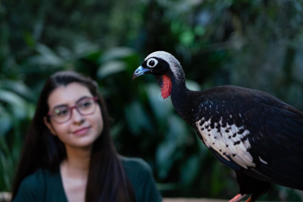 Foto de uma moça admirando uma jacutinga