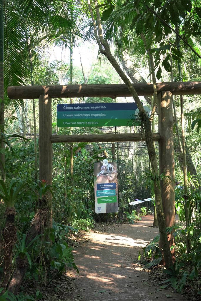 Entrada de uma trilha no Parque das Aves, com uma estrutura de madeira sustentando placas informativas que dizem "Como salvamos espécies" em português e inglês. Ao fundo, a trilha se estende cercada por vegetação densa da Mata Atlântica.
