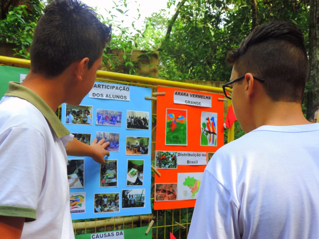 jovens observam painéis informativos sobre conservação de espécies de aves, como a arara-vermelha, com imagens e informações sobre distribuição e causas de ameaça.