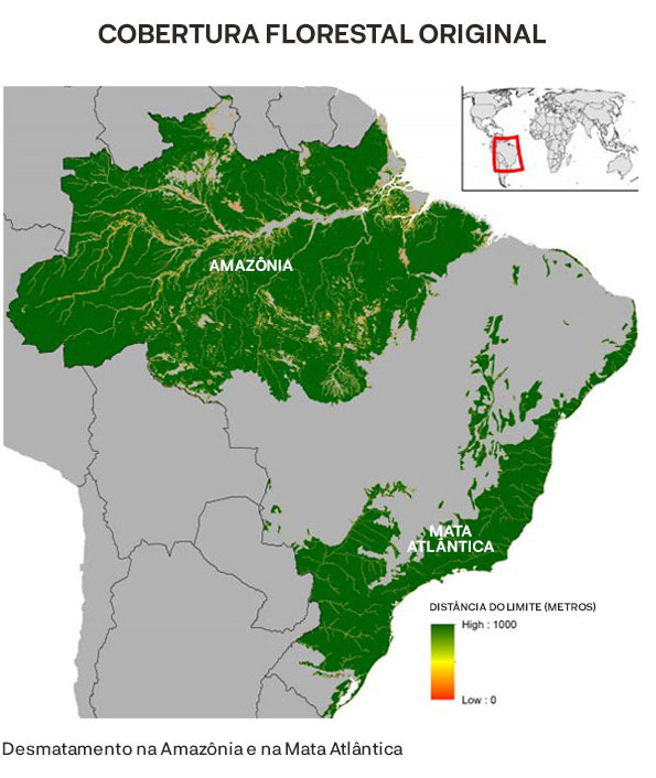 Mapa da cobertura original da Mata Atlântica e da Amazônia em verde - Brasil 