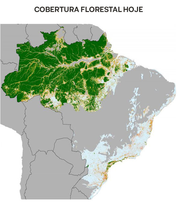 Mapa da cobertura atual da Mata Atlântica e da Amazônia em verde - Brasil 