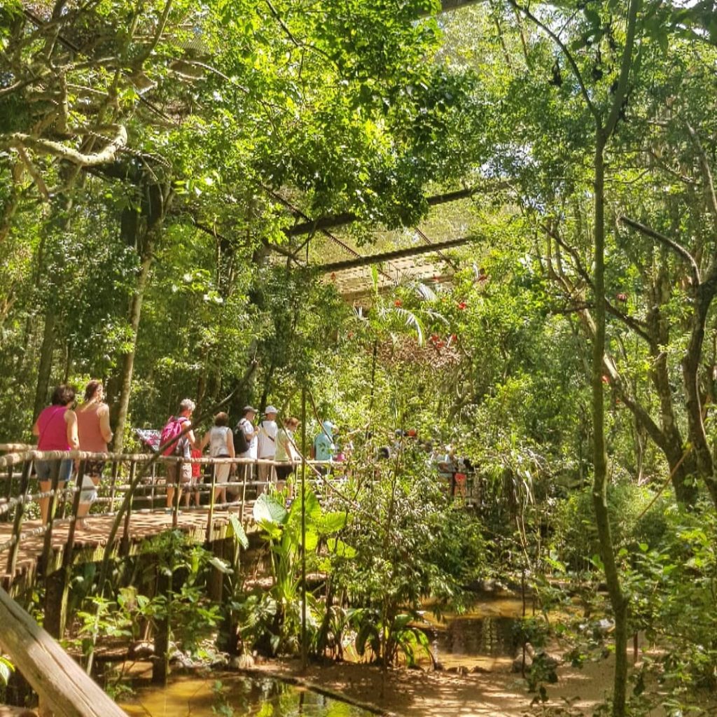 Turistas sobre a ponte no Viveiro Aves de Rios e Mangues