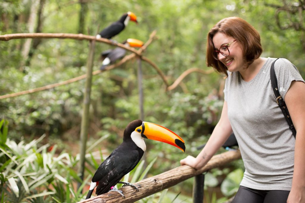 Foto de uma visitante admirando um tucano-toco