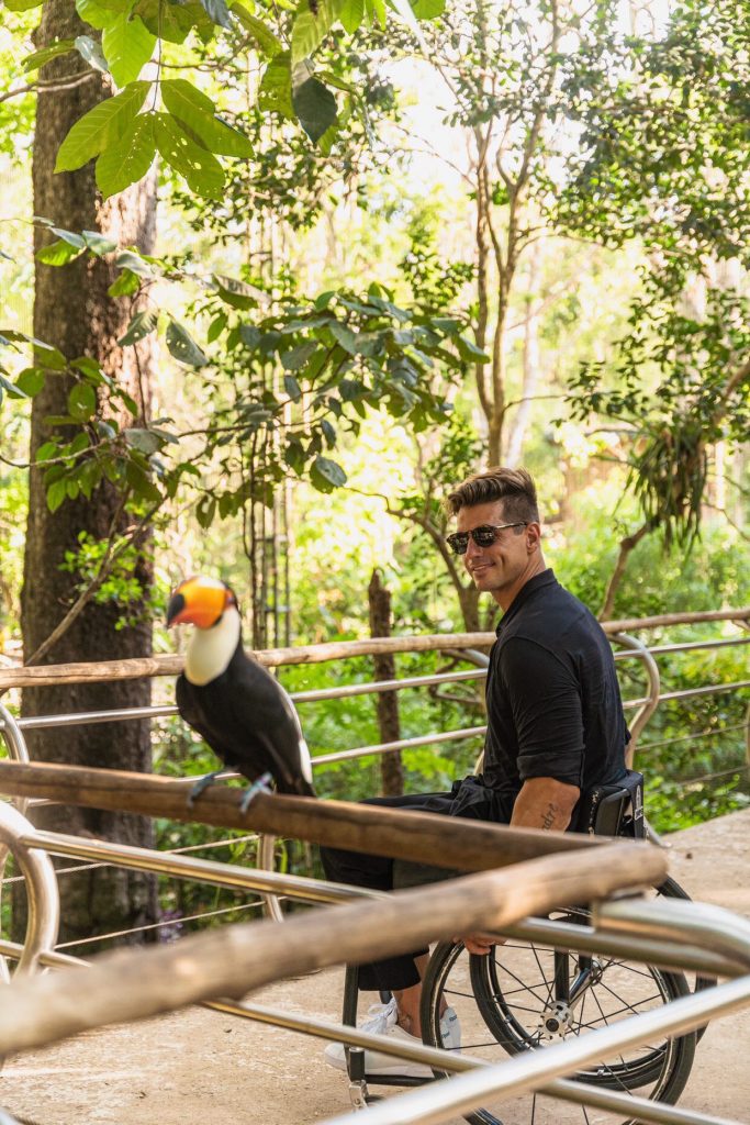 viveiro-dos-tucanos-no-parque-das-aves