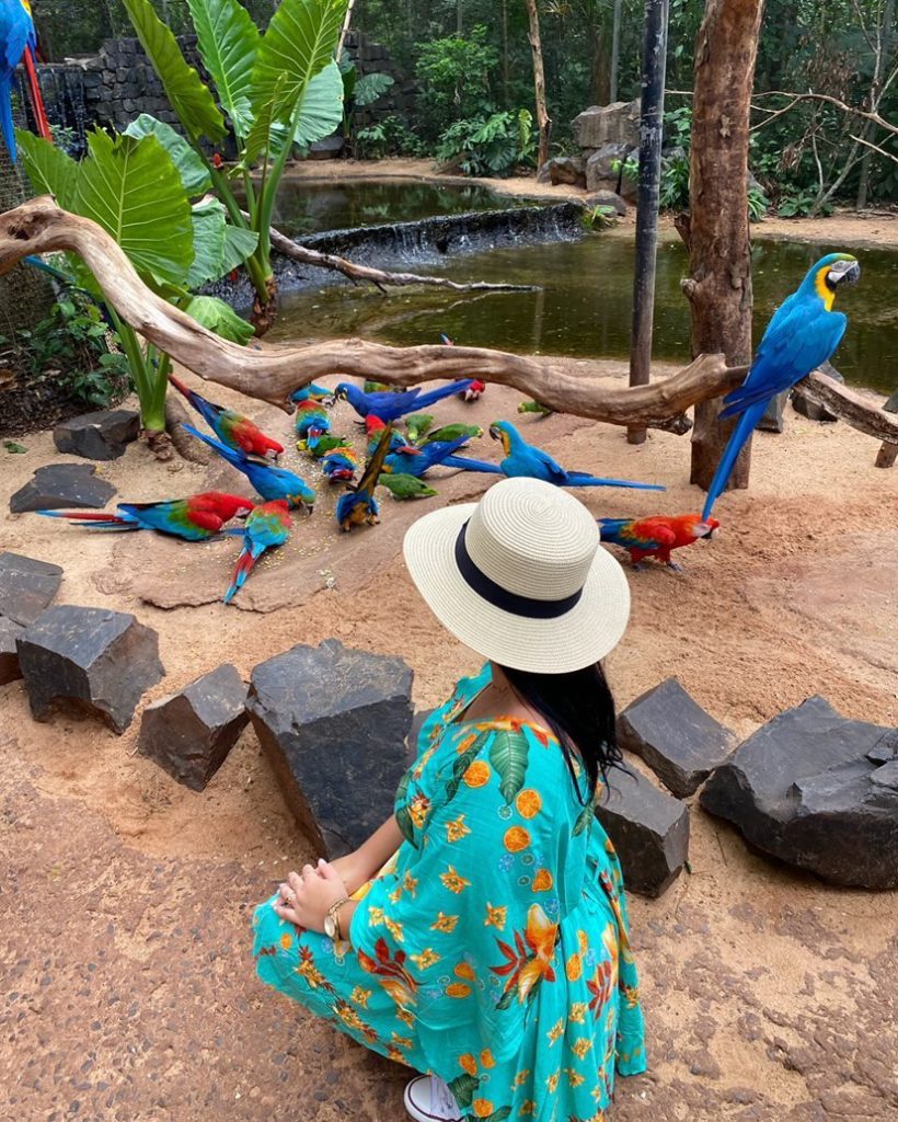 alimentação-das-araras-no-parque-das-aves