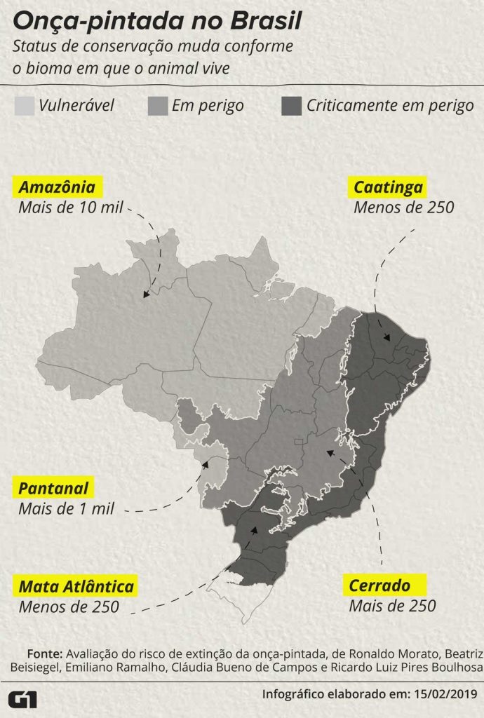 Mapa do Brasil que mostra o status de conservação da onça-pintada