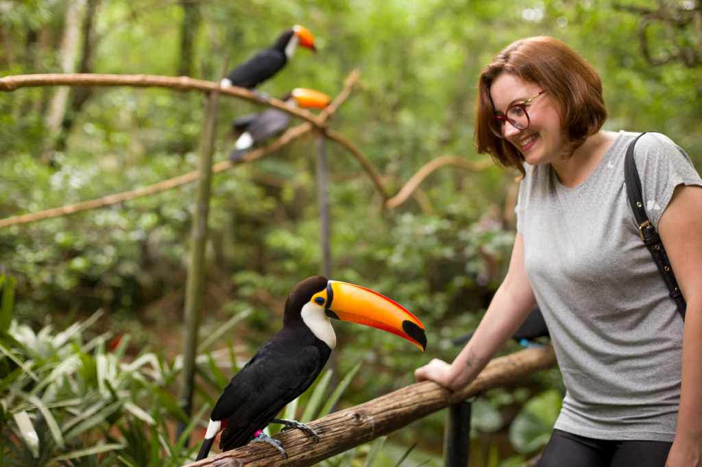 turista-vendo-tucano-toco-bem-de-perto