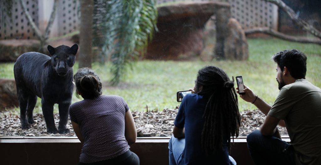 Pessoas fotografando animal do Itaipu Refúgio Biológico Bela Vista