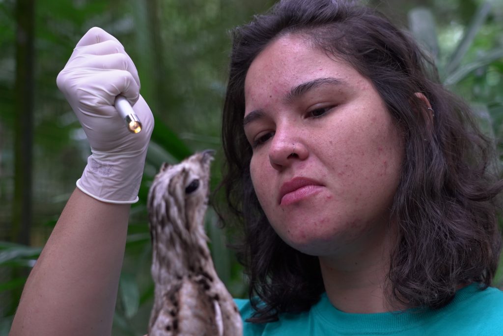 Veterinaria do Parque das Aves