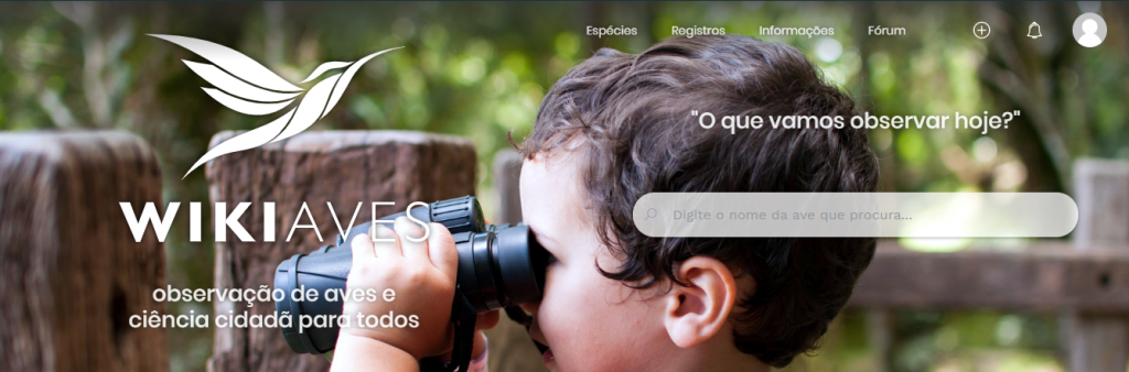 No site WikiAves, é possível ver e enviar fotos desses animais, e compartilhar informações com outros observadores de aves. Foto: Print site do WikiAves