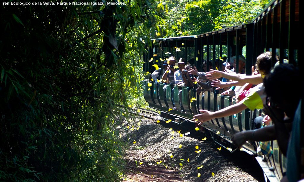 Pessoas no trem ecológico