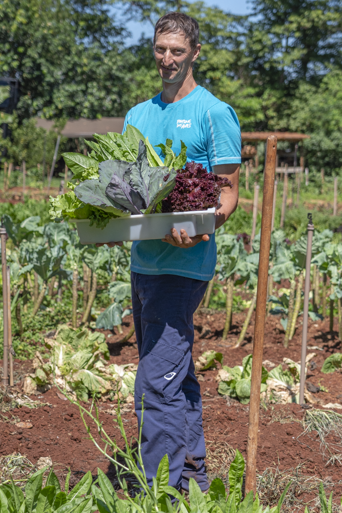 Homem em pé em uma horta segura uma bandeja branca cheia de hortaliças frescas, incluindo alface roxa, ramos e folhas verdes. Ele veste uma camiseta azul com o logo do Parque das Aves. Ao fundo, é possível ver canteiros de plantio e plantio.