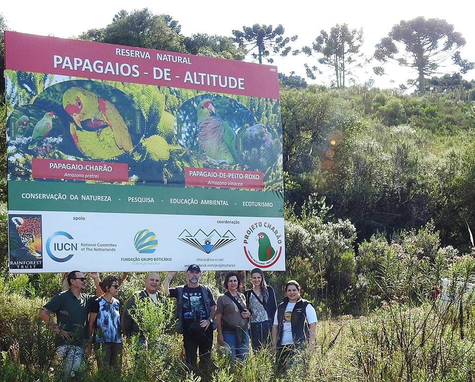 Reserva Papagaios de Altitude, em Urupema (Santa Catarina), onde os pesquisadores observam os papagaios. Foto: Equipe do Parque das Aves.
