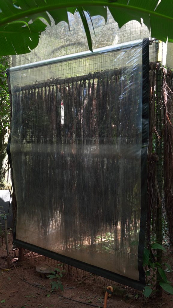 cortinas-plásticas-transparentes-do-lado-externo-do-recinto-das-aves-proporcionam-conforto-térmico-aos-animais-no-inverno
