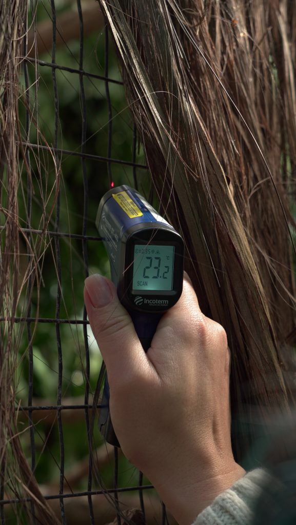 termômetro-calcula-temperatura-do-recinto-das-aves