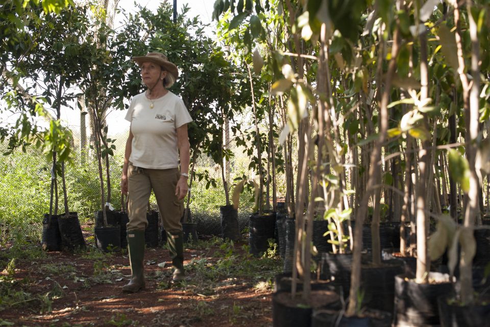 COMUNIDADE | Abraçando uma causa, e botando a mão na terra