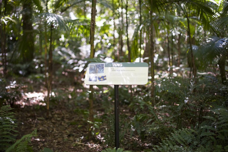 BASTIDORES DO PARQUE | Novas placas botânicas