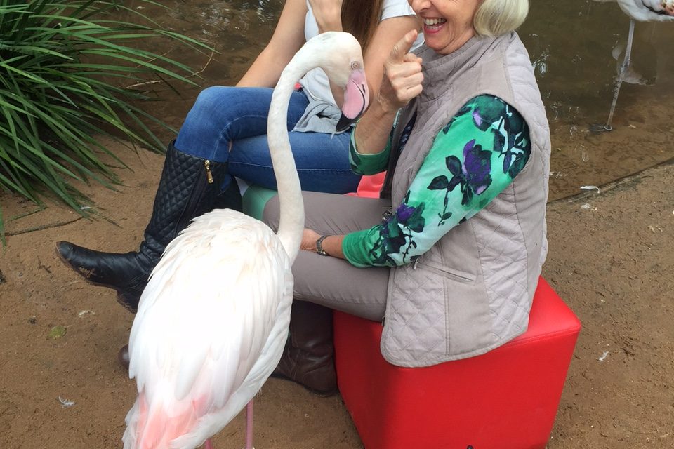 Parque das Aves e o Dia Internacional da Mulher