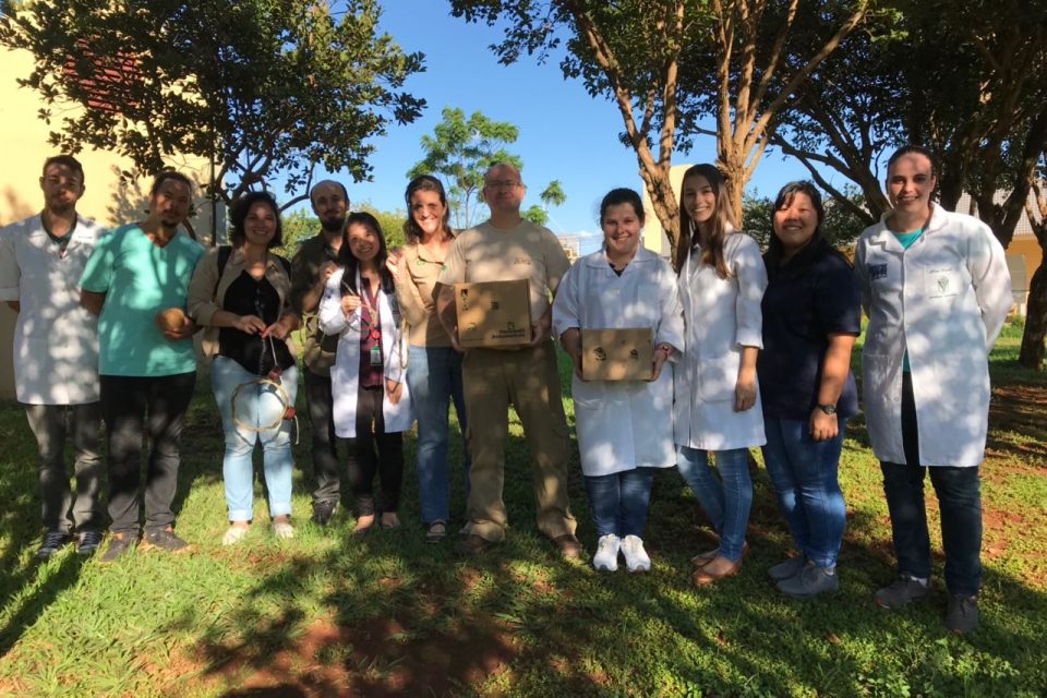 Equipe técnica do Parque das Aves realiza exames periódicos dos flamingos com a ajuda de colegas da UFPR de Palotina