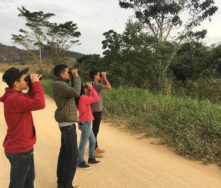 Ações de educação para conservação do papagaio-chauá com a comunidade de Águas Formosas, MG