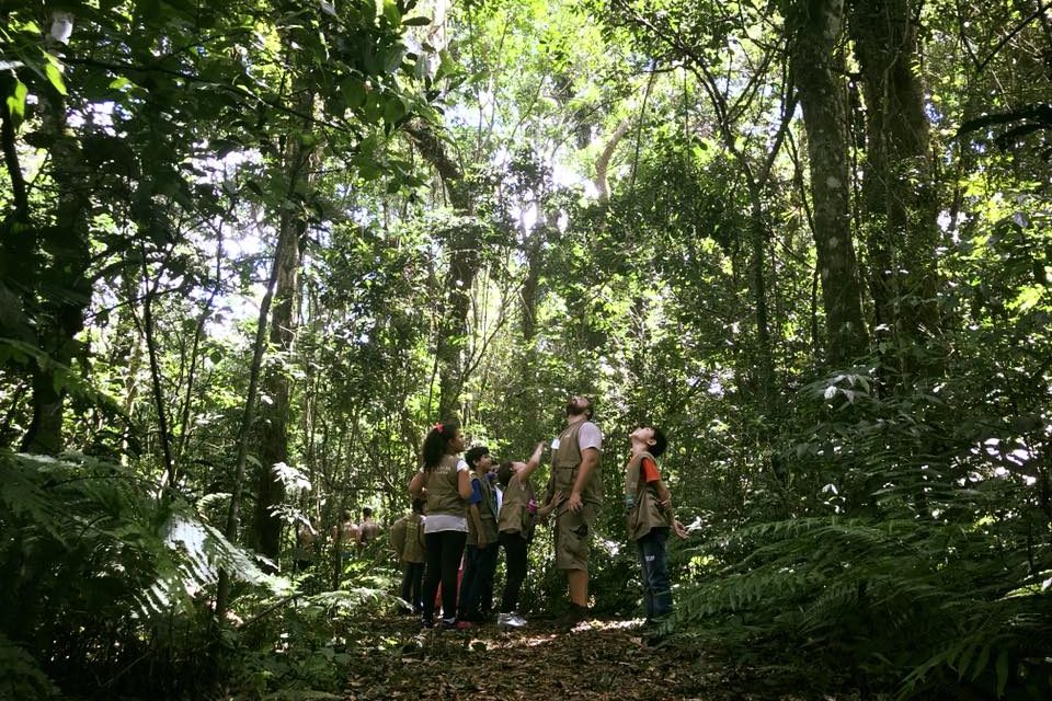 Conexão com a natureza