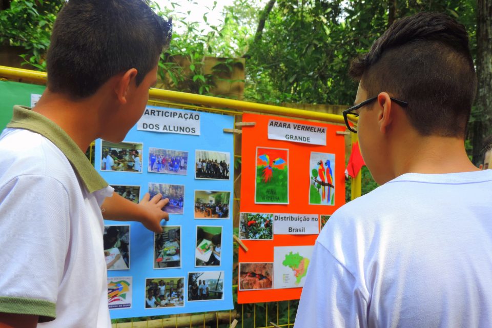 Parque das Aves e Núcleo Regional de Educação de Foz do Iguaçu realizam exposição “Mata Atlântica”