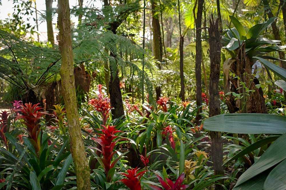 Gestão ambiental no Parque das Aves