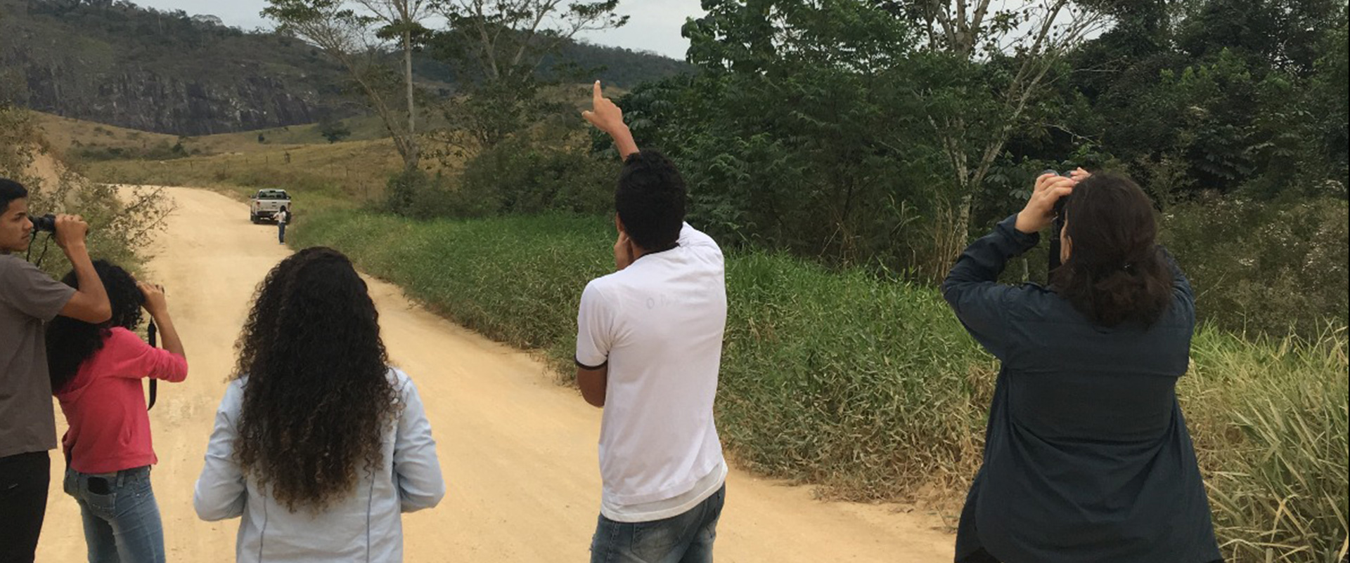 aranha com pernas peludas