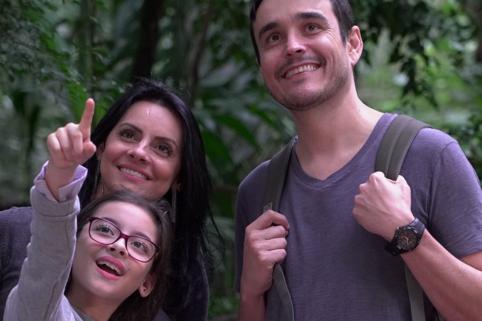 Descubra se você vive perto da Mata Atlântica com ferramenta interativa