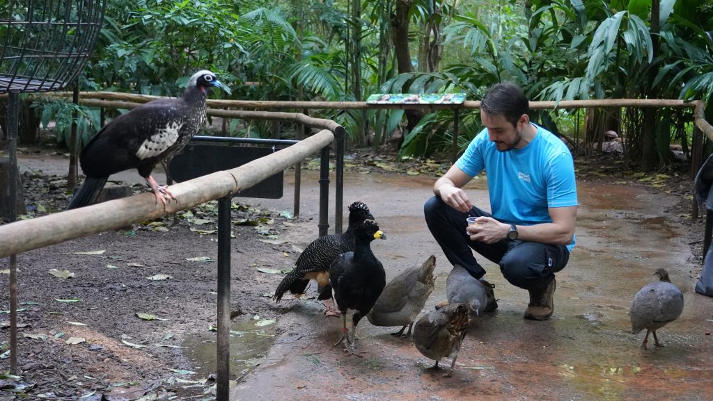 um homem agachado interage com várias aves em um recinto cercado por vegetação. 