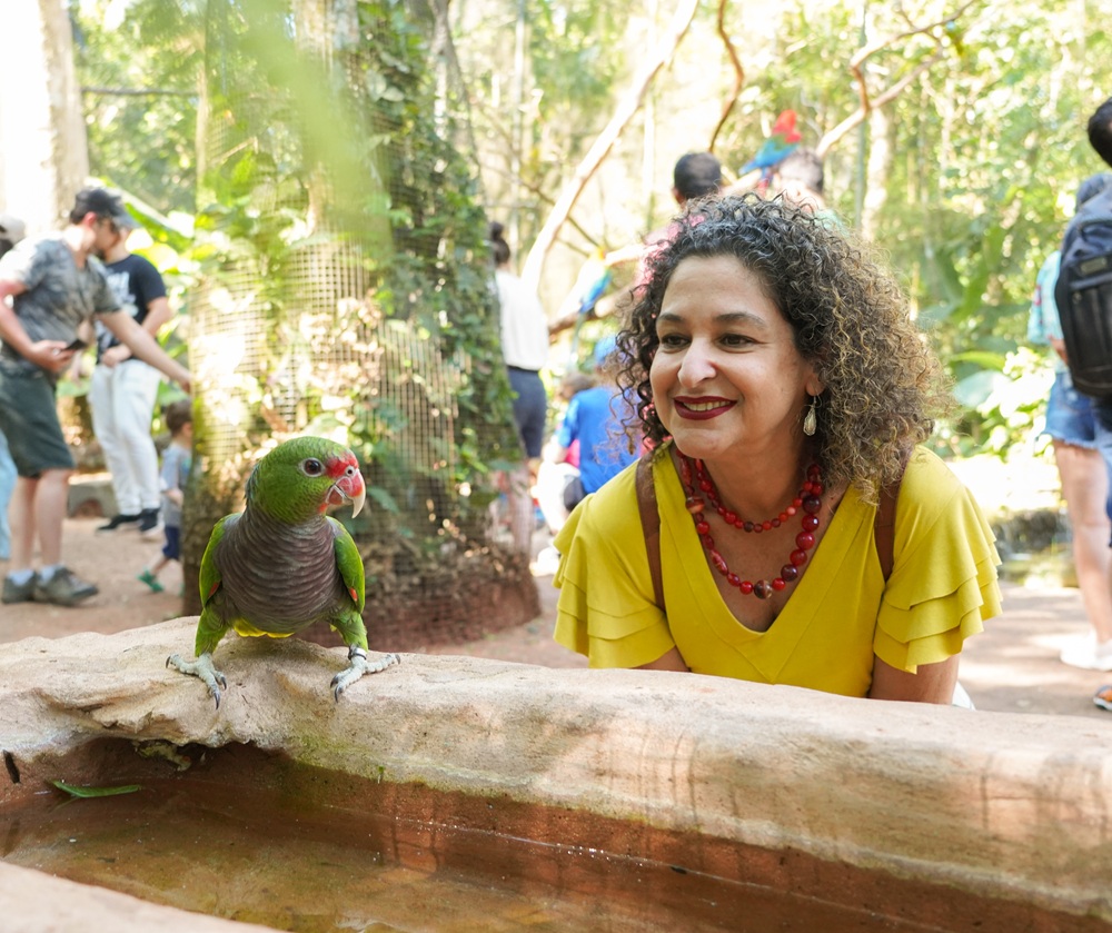 mulher observando papagaio-de peito-roxo no Parque das Aves em meio a Mata Atlântica