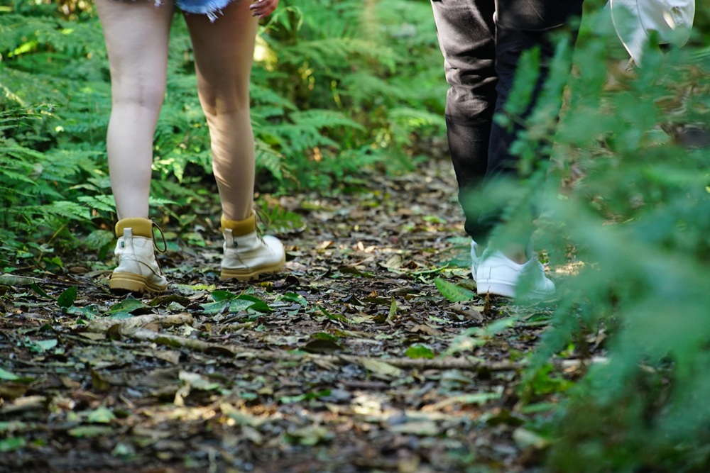 Duas pessoas caminhando por uma trilha coberta de folhas secas no meio da vegetação da Mata Atlântica.