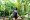 Visitante no Parque das Aves em meio a Mata Atlântica