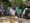 Grupo de visitantes acompanha explicações de educadores diante de painéis informativos sobre colisão de aves com estruturas de vidro.