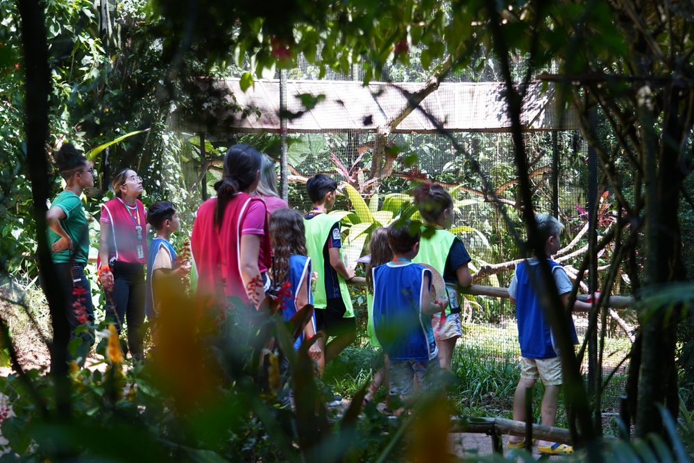 Grupo de crianças com coletes coloridos e educadores do Parque das Aves observam um viveiro na trilha, rodeados por vegetação da Mata Atlântica.