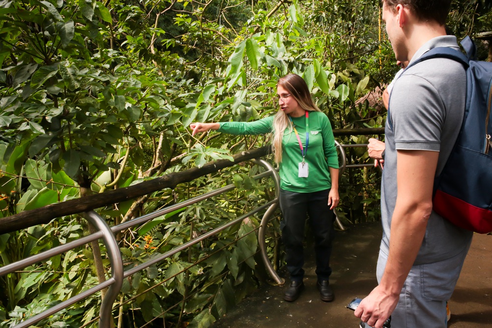 Educadora do Parque das Aves aponta para a vegetação enquanto conversa com visitantes durante a trilha.