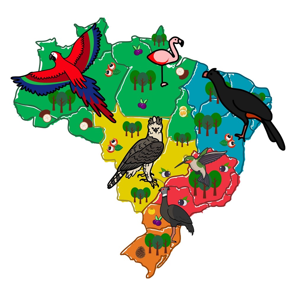 Mapa do Brasil com espécies de aves de cada região