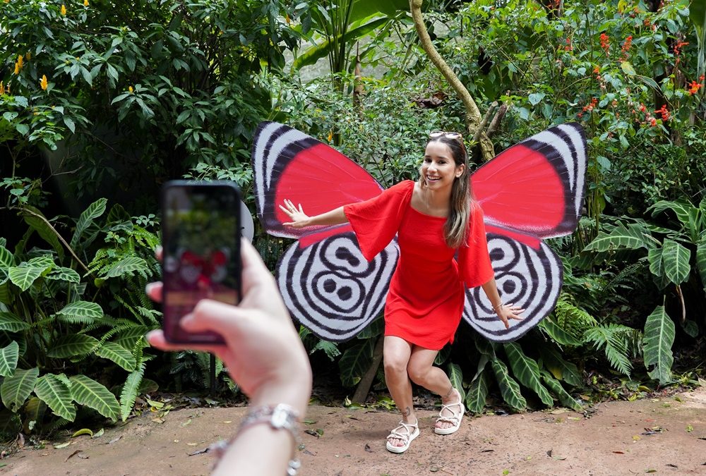13 lugares imperdíveis para tirar fotos no Parque das Aves