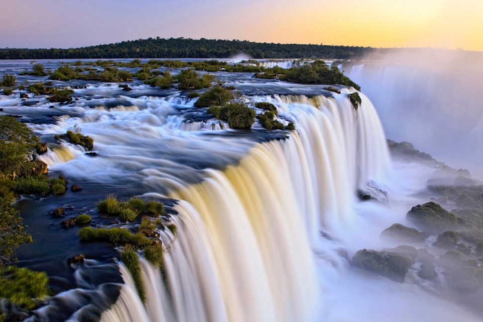 5 ações para cuidar da Mata Atlântica