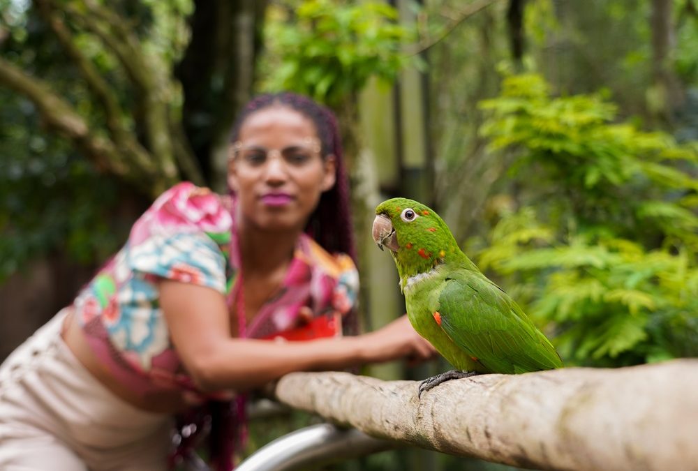 Tudo o que você precisa saber sobre Foz do Iguaçu antes de visitar a cidade