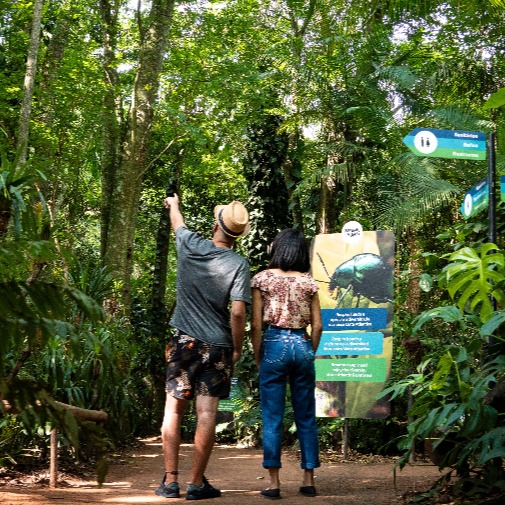 PASSEIO NO PARQUE