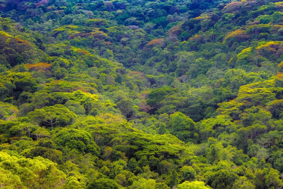 7 atitudes para ajudar a combater as mudanças climáticas