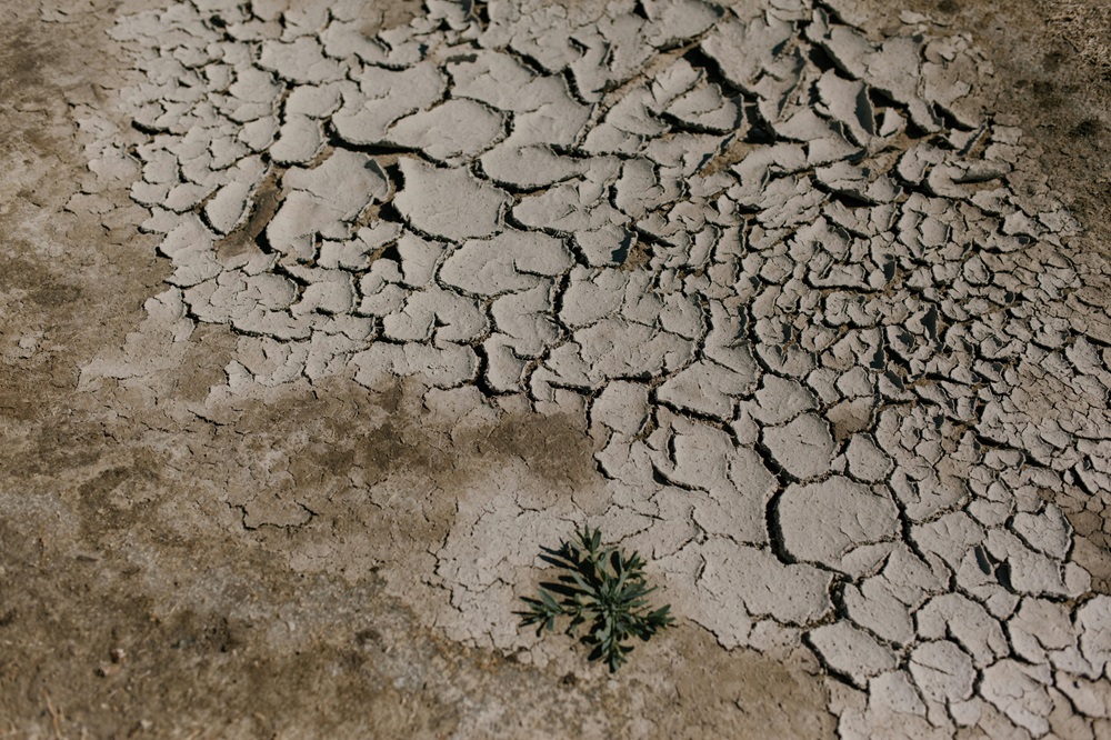 seca por mudança climática com calor excesivo